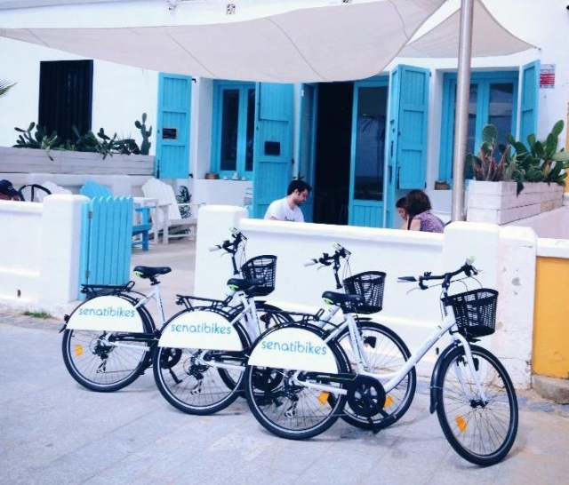  our bikes 